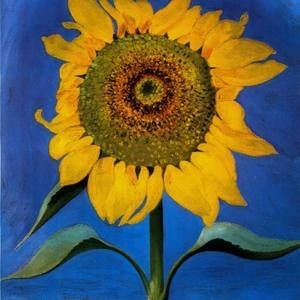 Meet your Posher, Sally